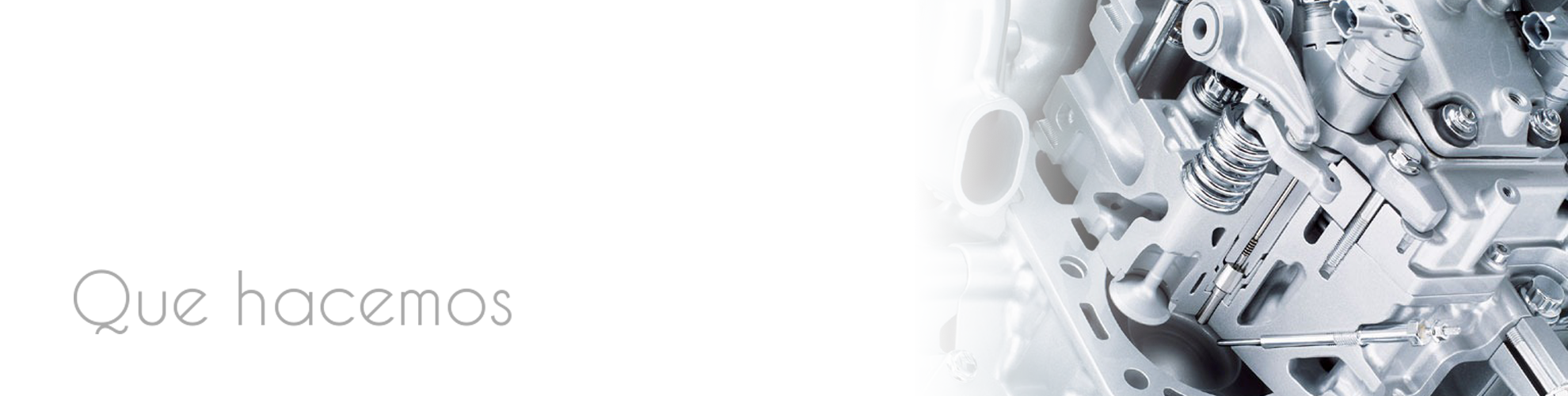 Image module